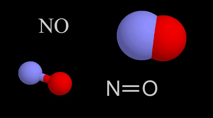 Nitric Oxide 